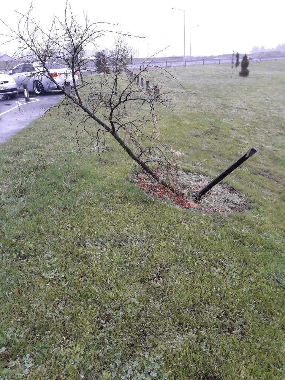 The photograph attached to this parks report