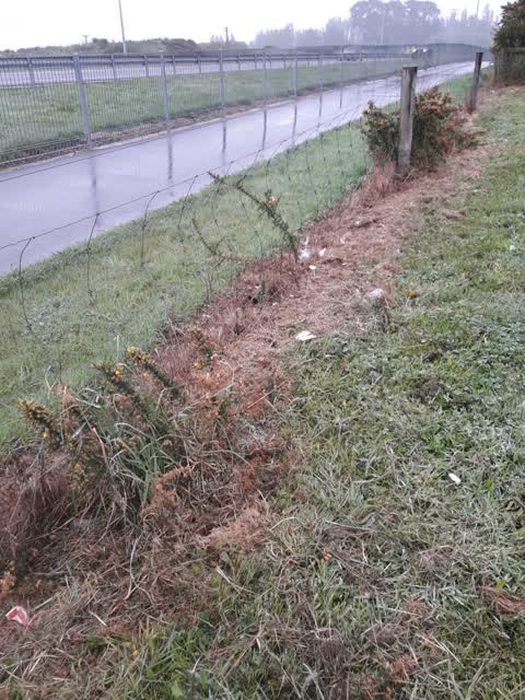 Parks, a report photo