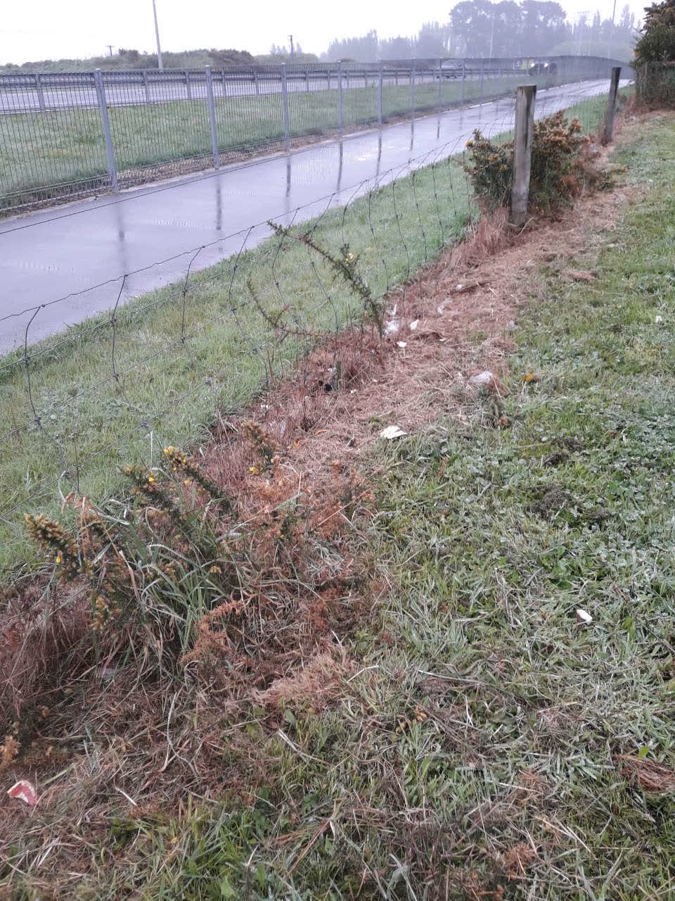 The photograph attached to this parks report