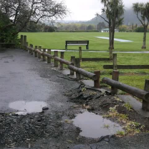 Parks, a report photo