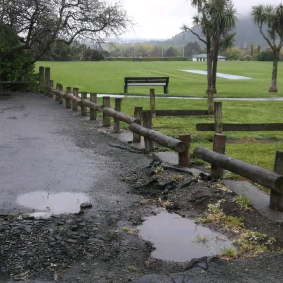 The photograph attached to this parks report
