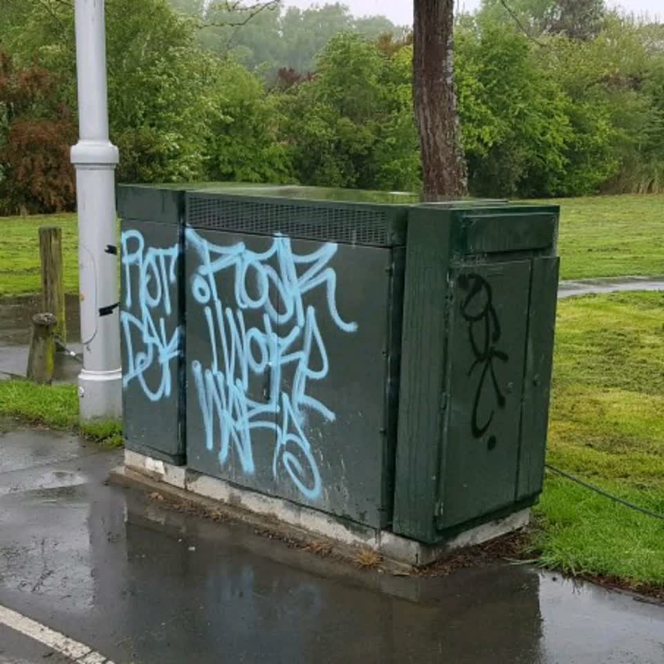 The photograph attached to this graffiti report