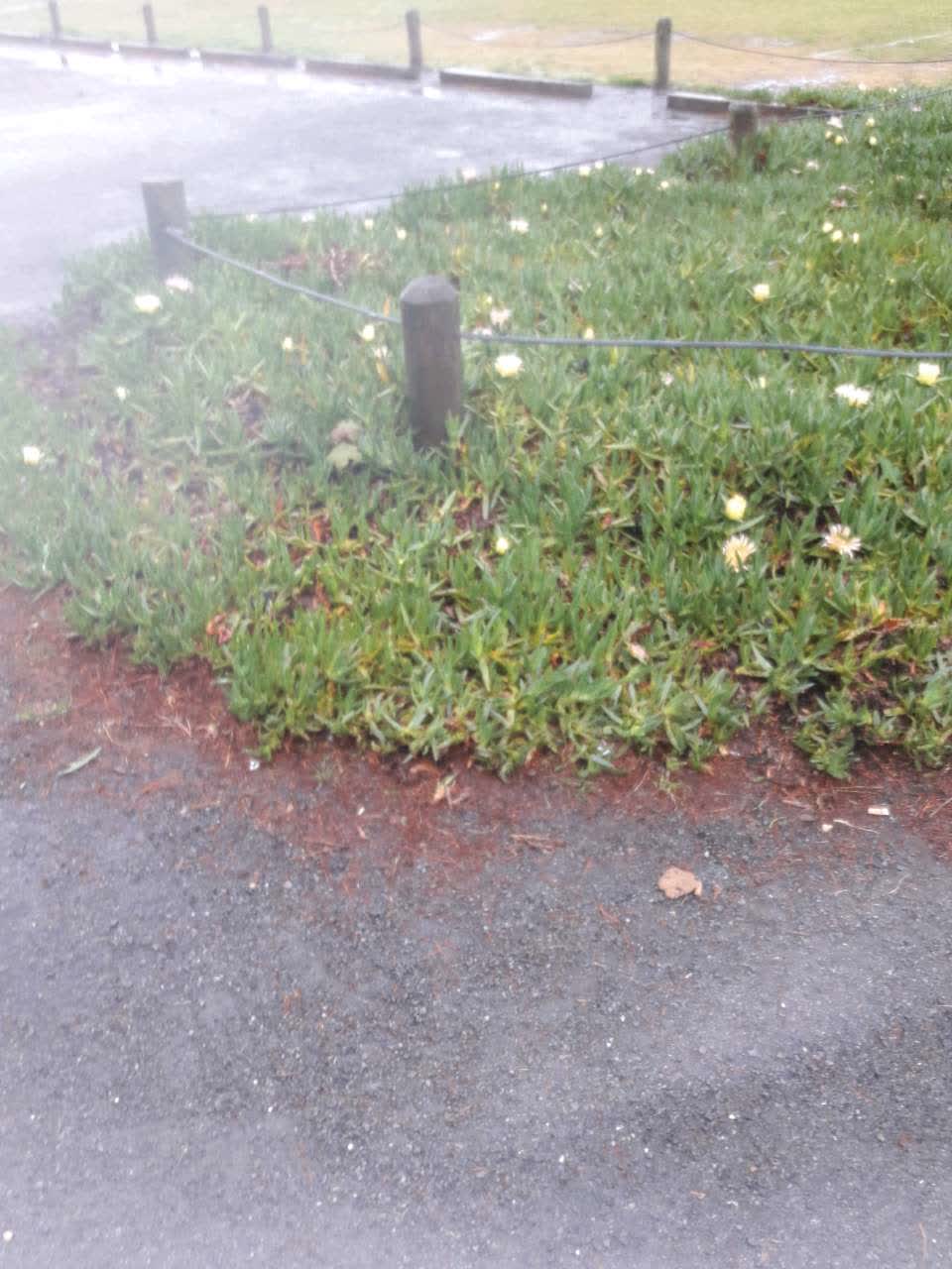The photograph attached to this parks report