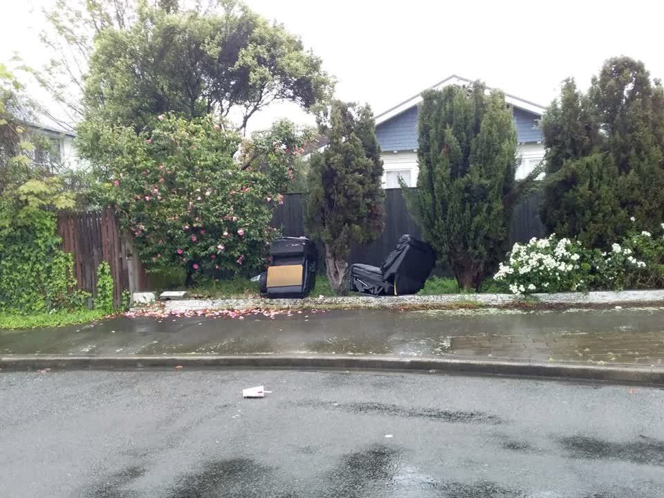 The photograph attached to this rubbish/recycling report