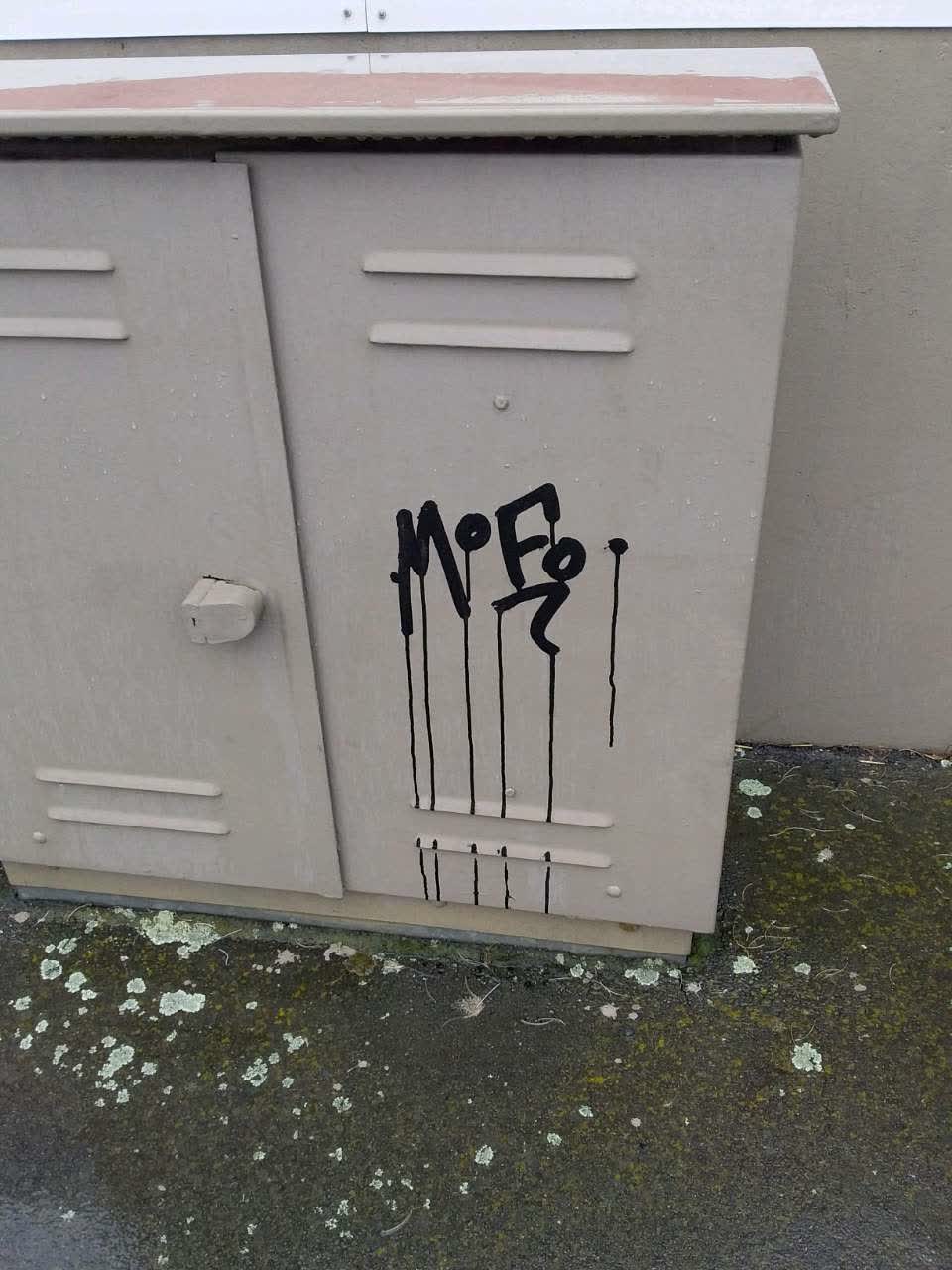 The photograph attached to this graffiti report