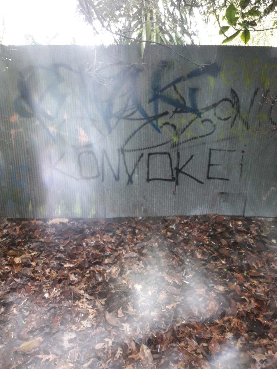 The photograph attached to this graffiti report