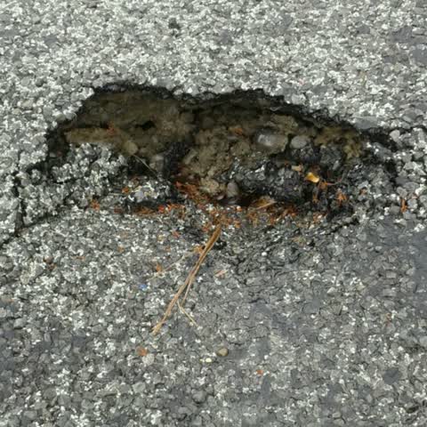 Roading/Streets, a report photo