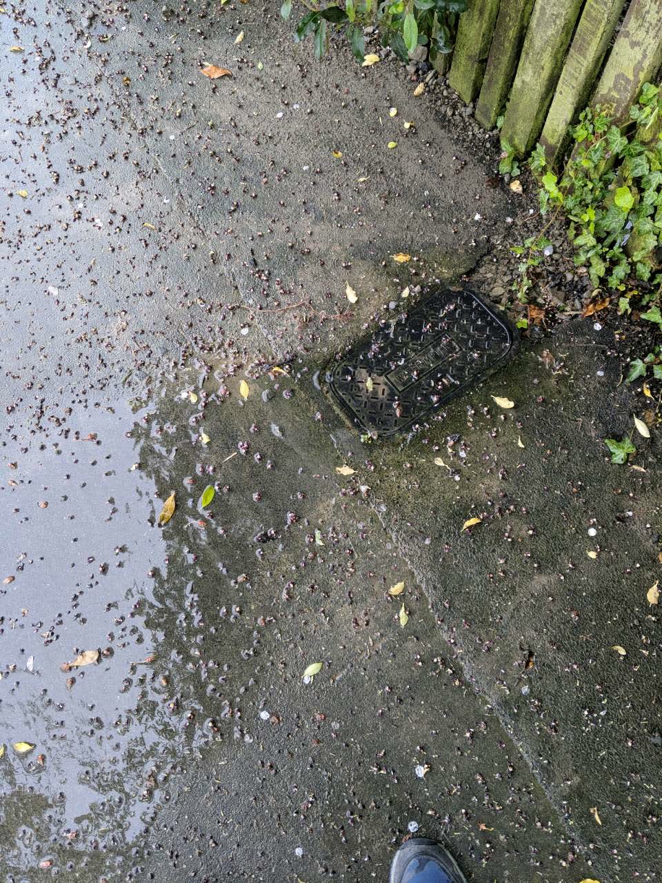 The photograph attached to this water supply report