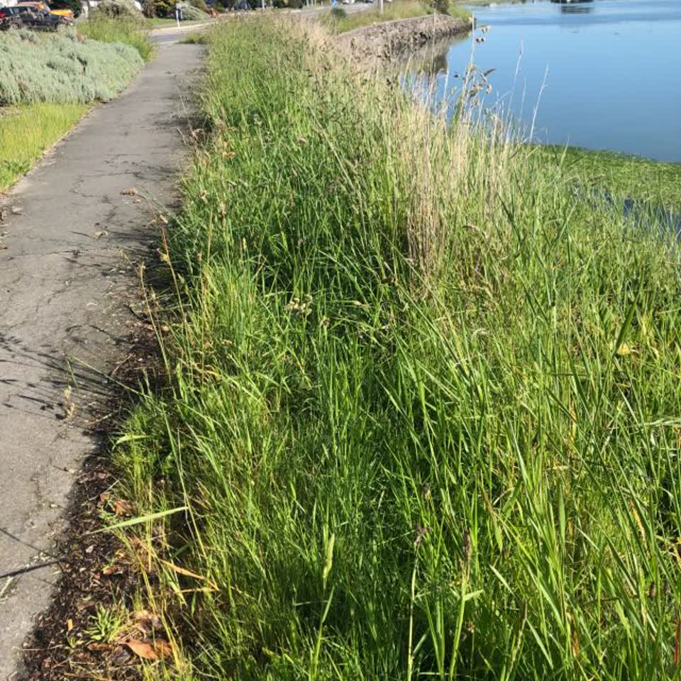 The photograph attached to this parks report
