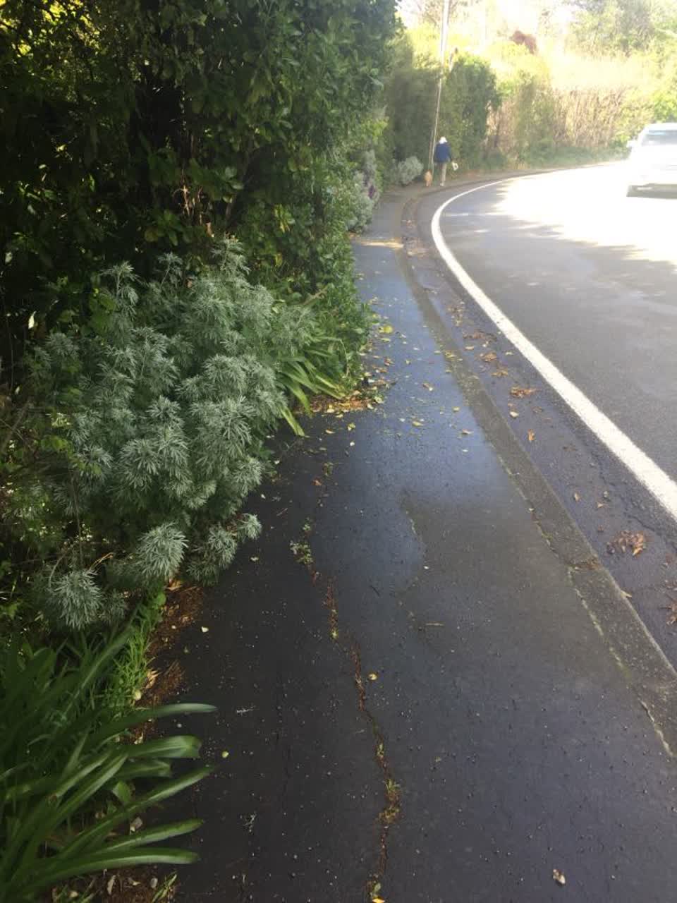 The photograph attached to this roading/streets report