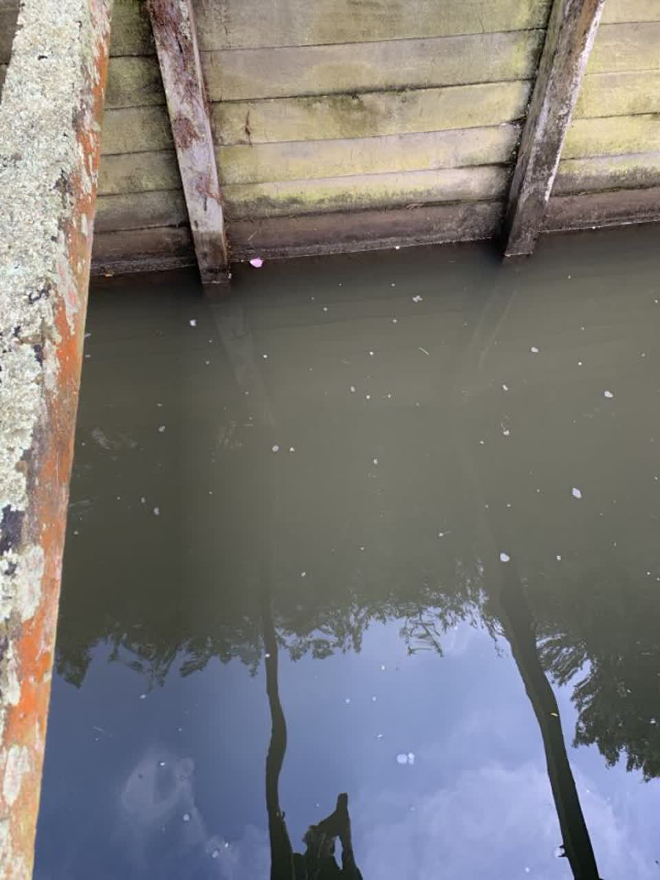The photograph attached to this wastewater/stormwater report
