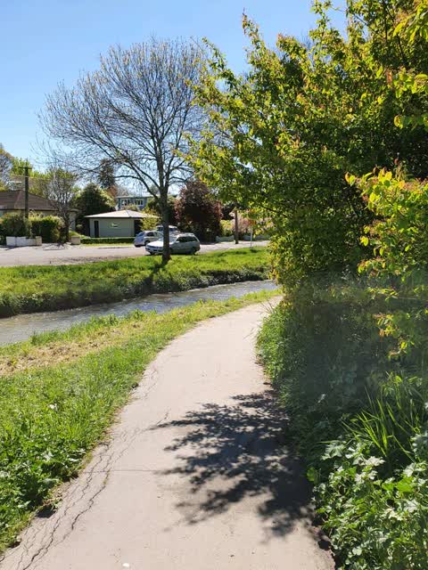 Parks, a report photo