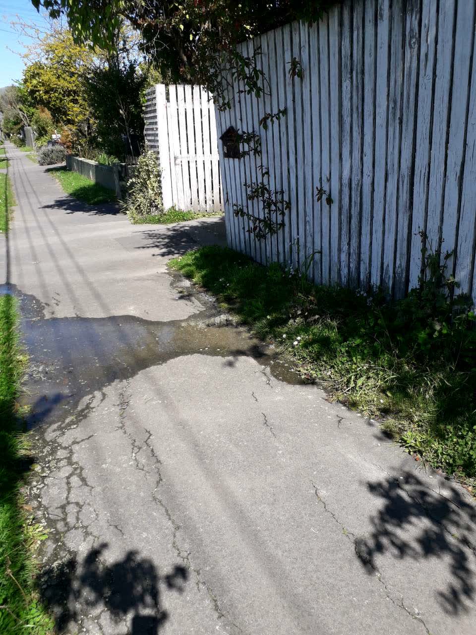 The photograph attached to this water supply report