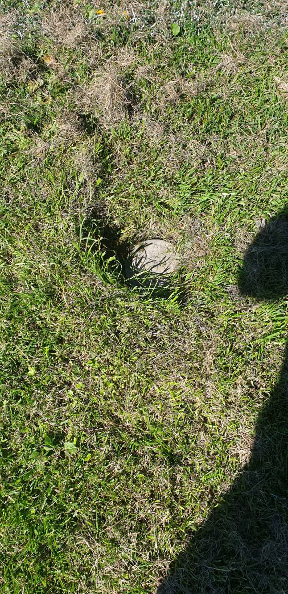 The photograph attached to this parks report