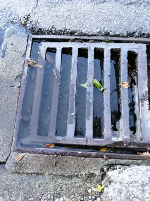Wastewater/Stormwater, a report photo