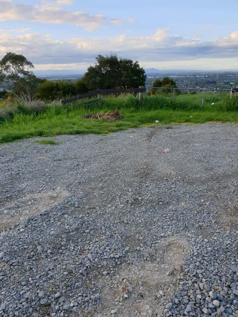 Rubbish/Recycling, a report photo