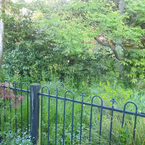 Parks, a report photo