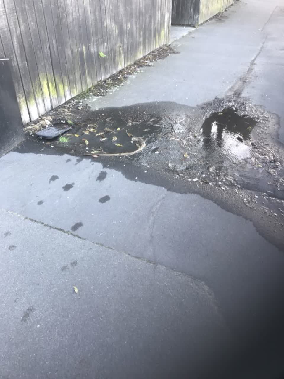 The photograph attached to this water supply report
