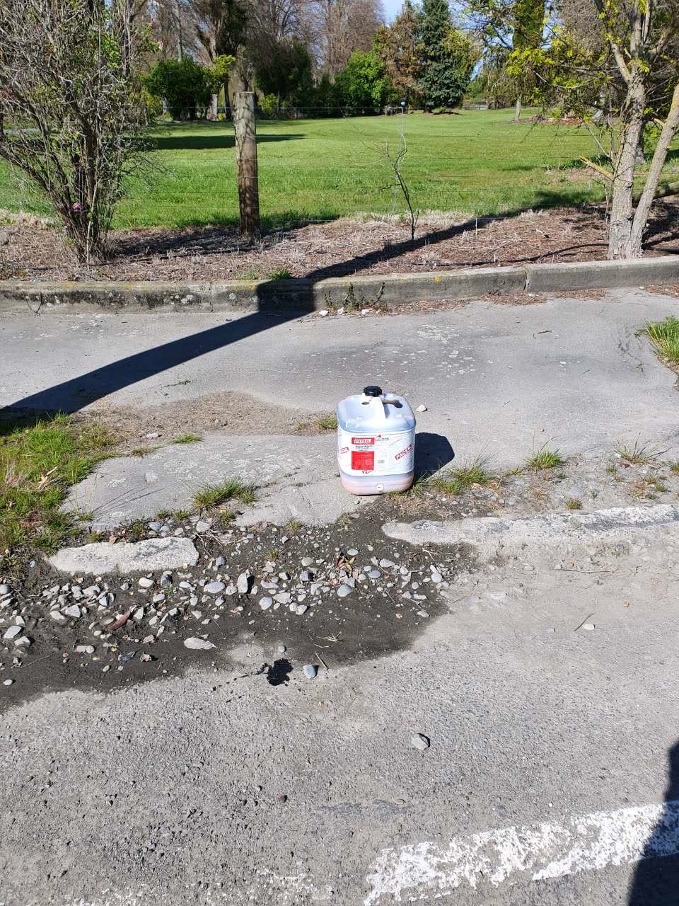 The photograph attached to this rubbish/recycling report
