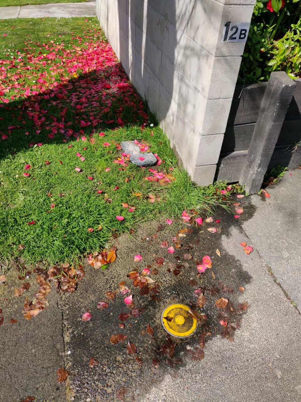 The photograph attached to this water supply report