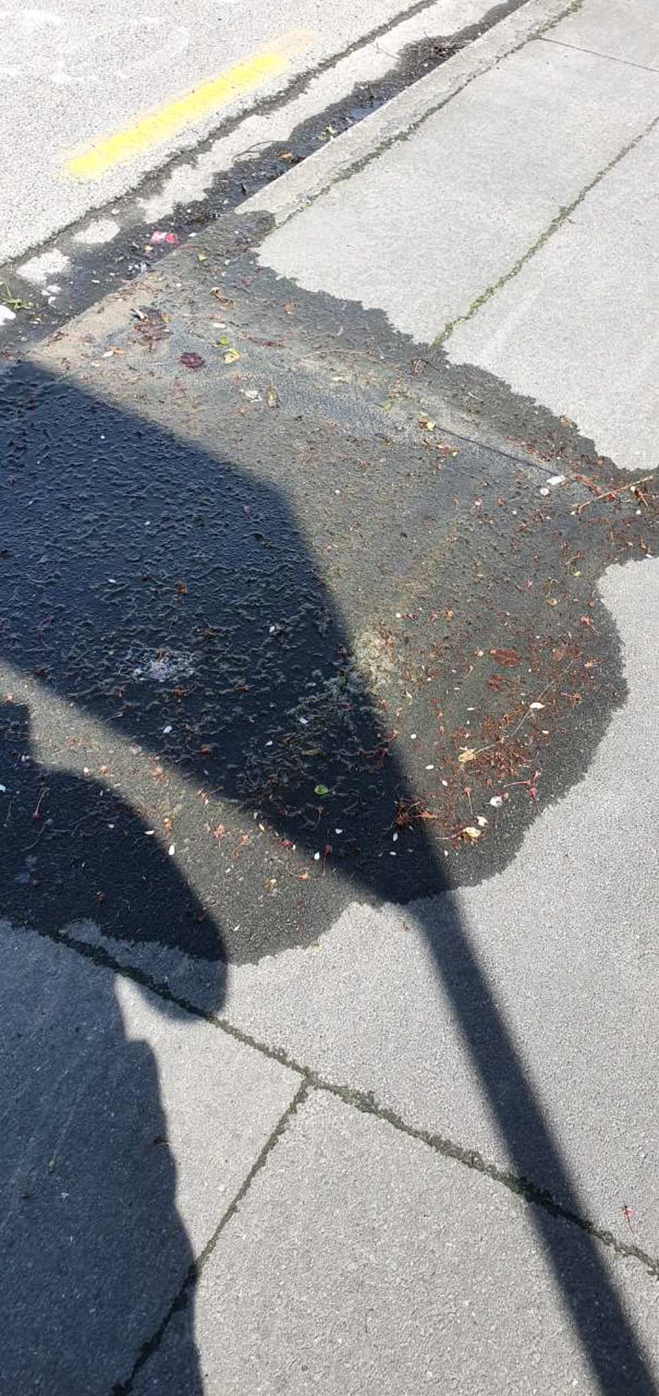 The photograph attached to this water supply report