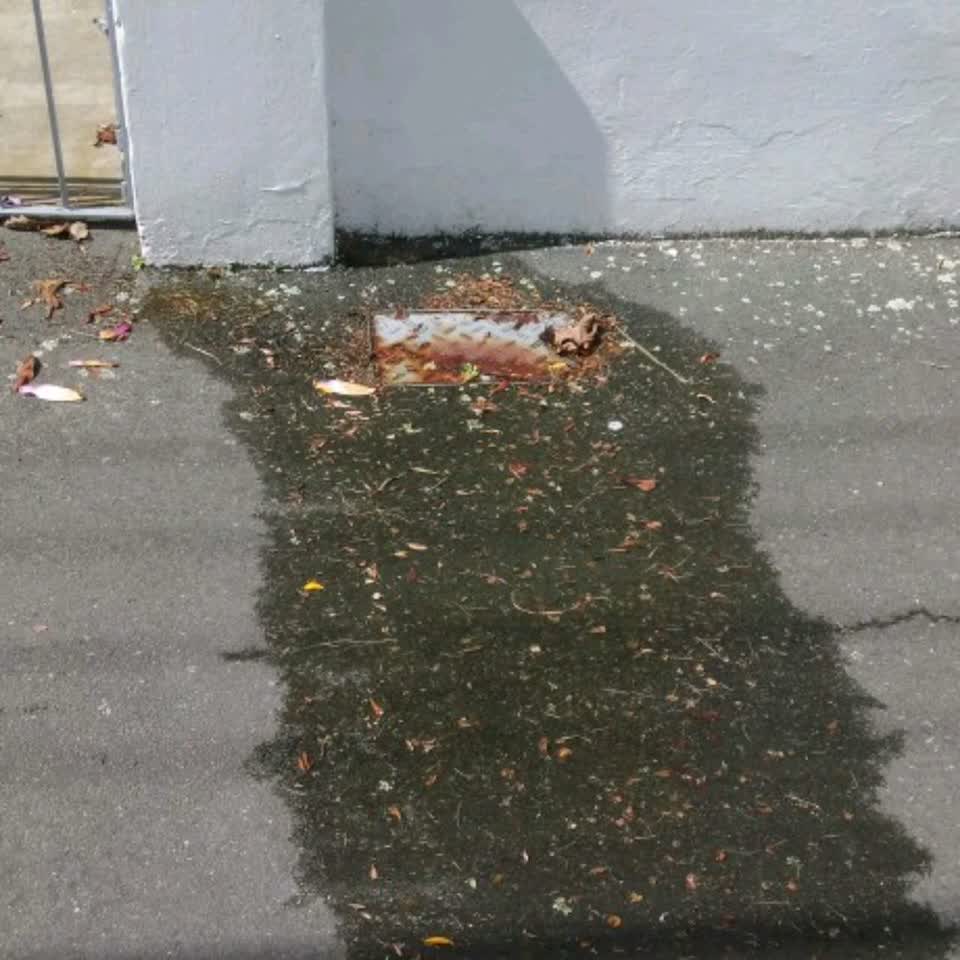 The photograph attached to this water supply report