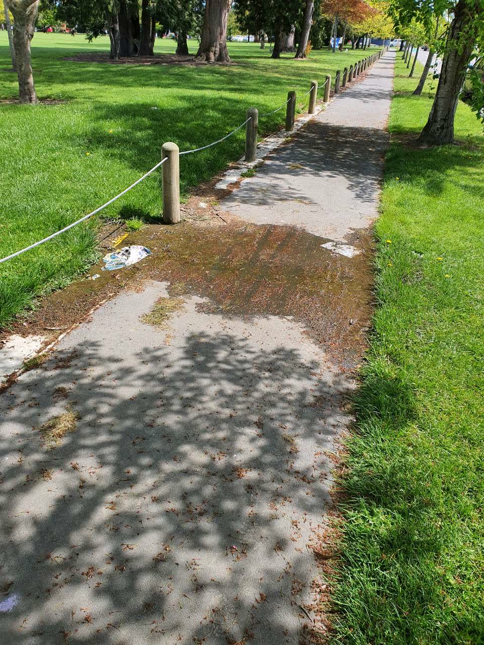 The photograph attached to this water supply report