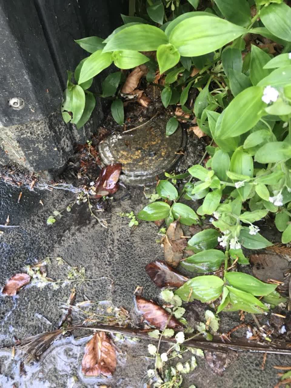The photograph attached to this water supply report