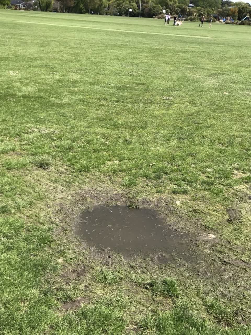 The photograph attached to this parks report