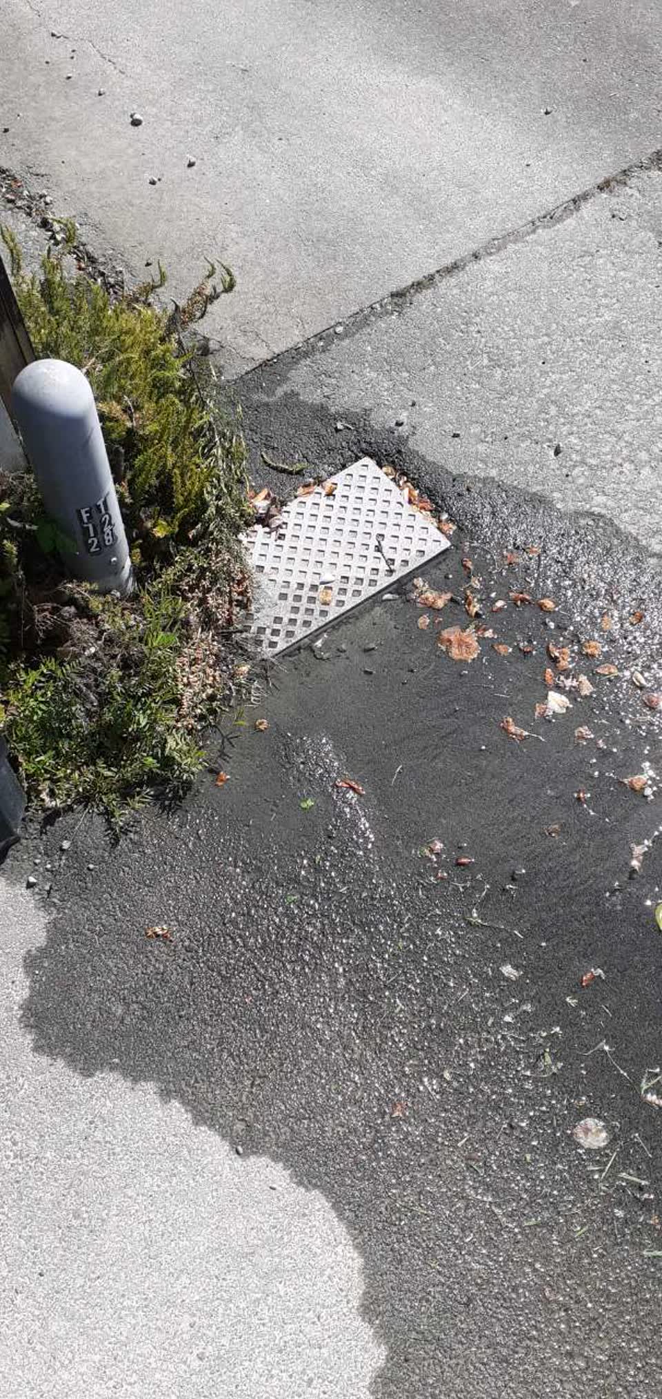 The photograph attached to this water supply report