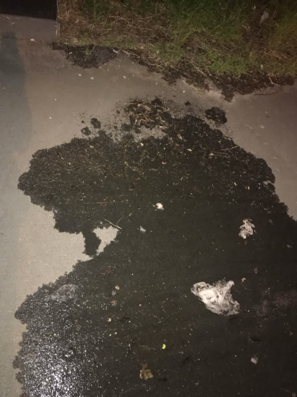 The photograph attached to this water supply report