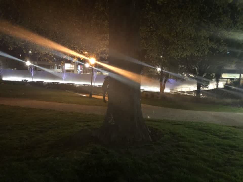 The photograph attached to this parks report