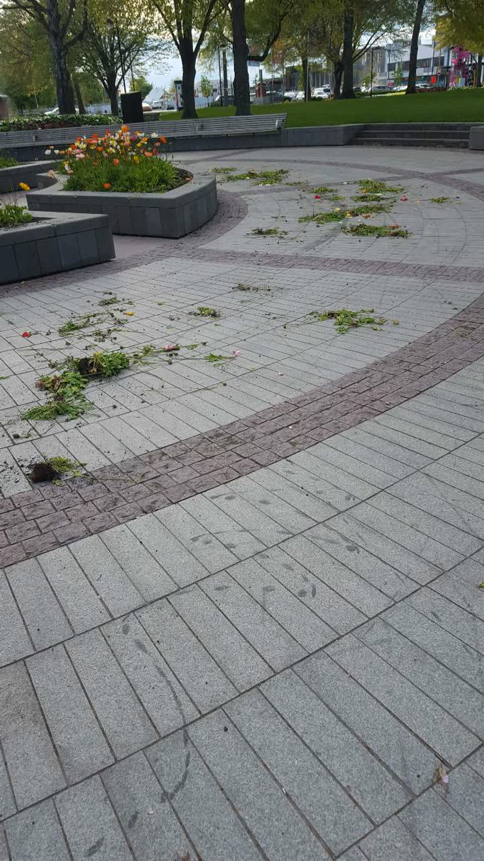 The photograph attached to this parks report