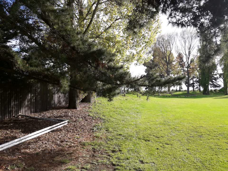 The photograph attached to this parks report