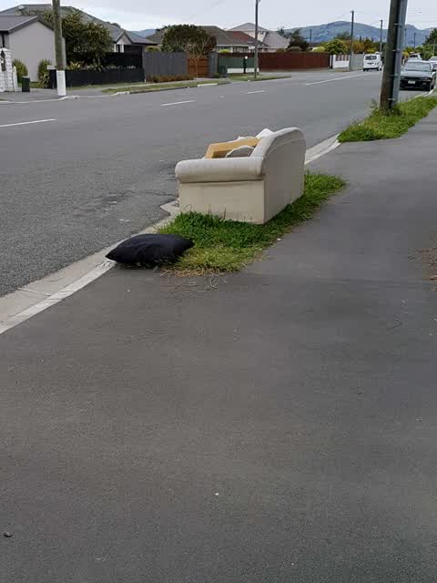 Rubbish/Recycling, a report photo