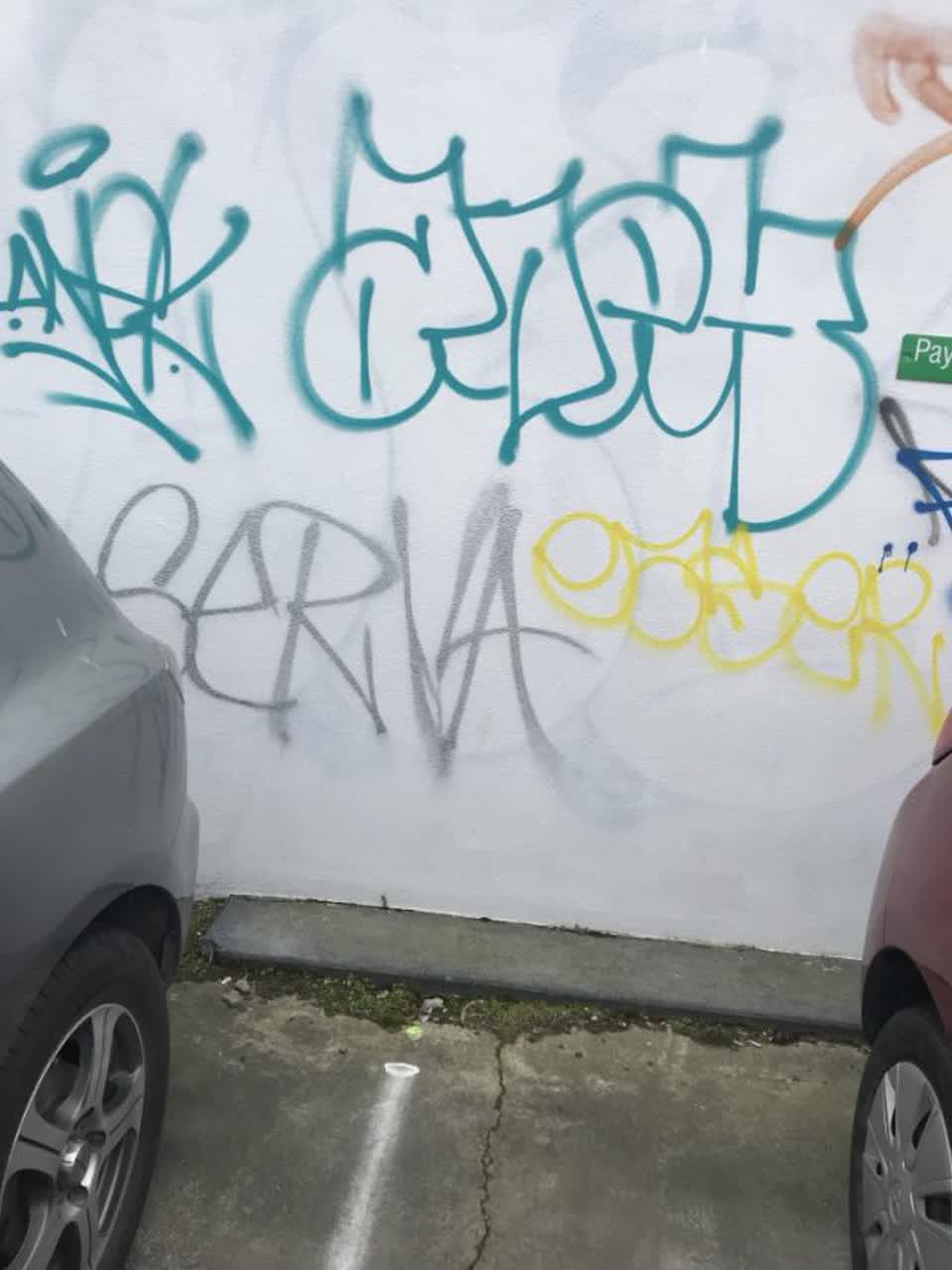 The photograph attached to this graffiti report
