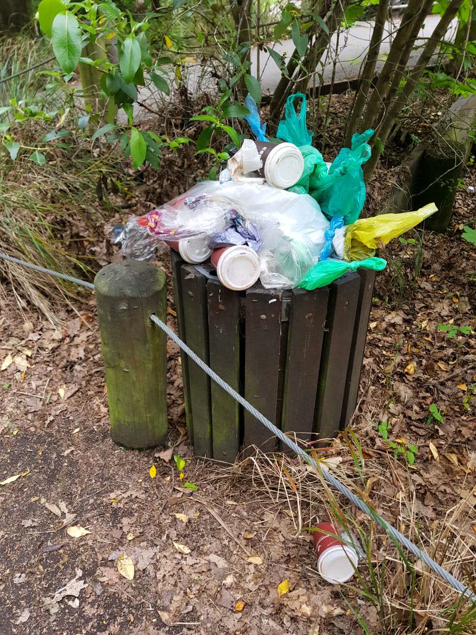 The photograph attached to this rubbish/recycling report