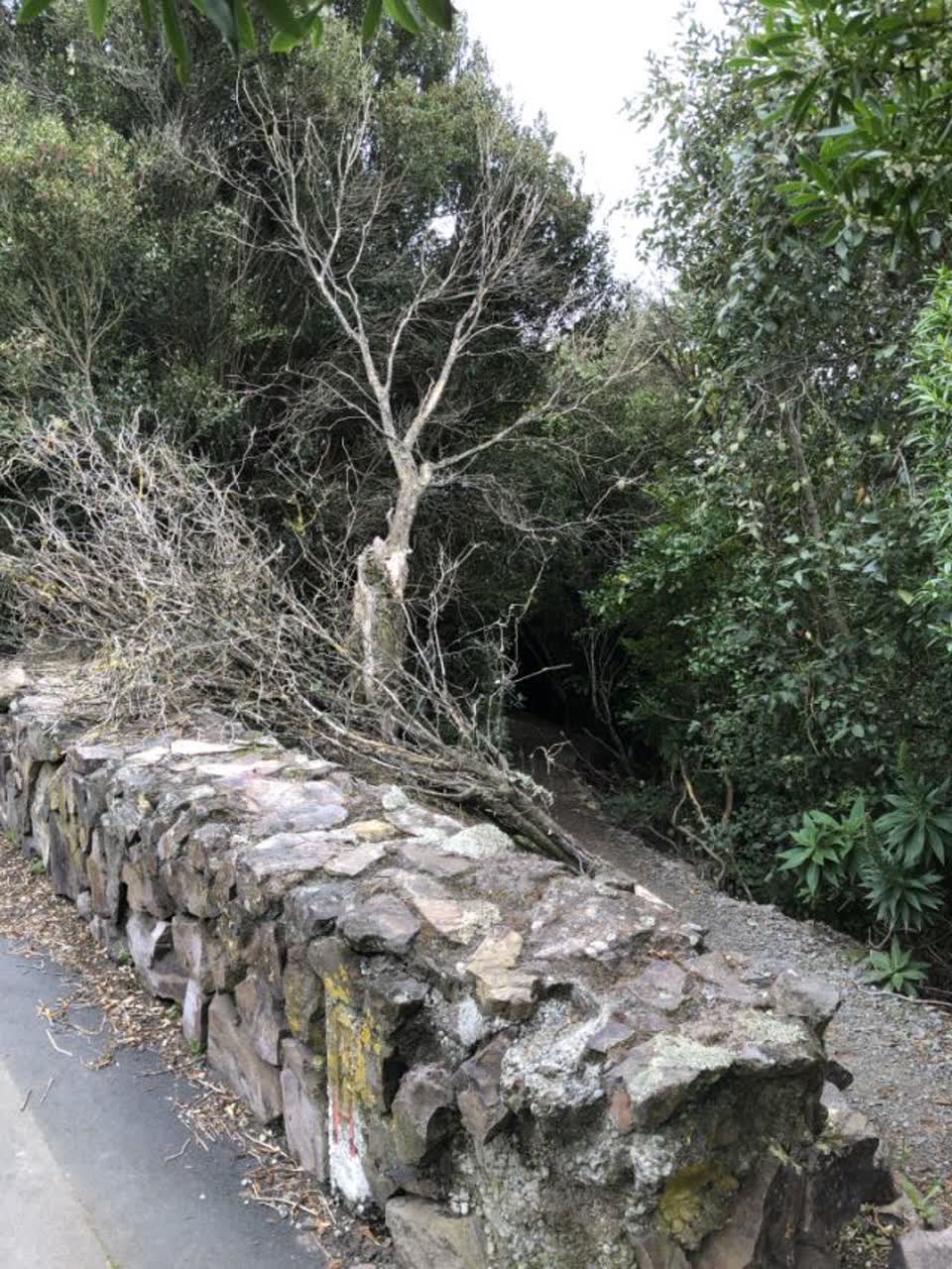 The photograph attached to this parks report