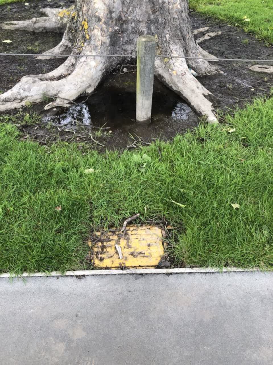 The photograph attached to this water supply report