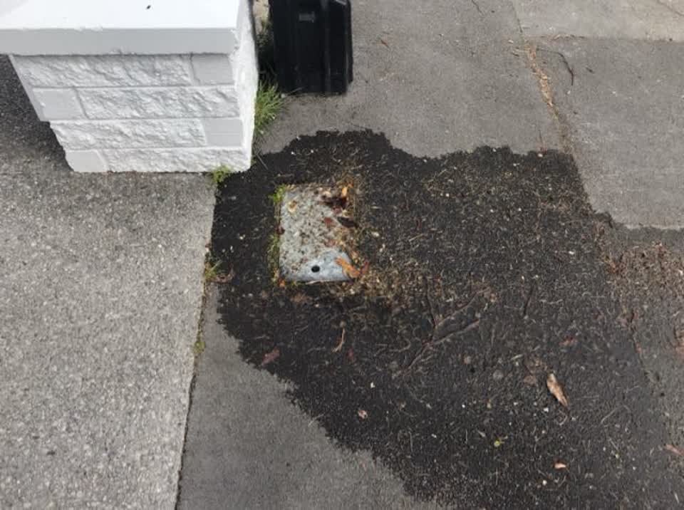 The photograph attached to this water supply report