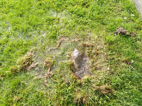 Water Supply, a report photo
