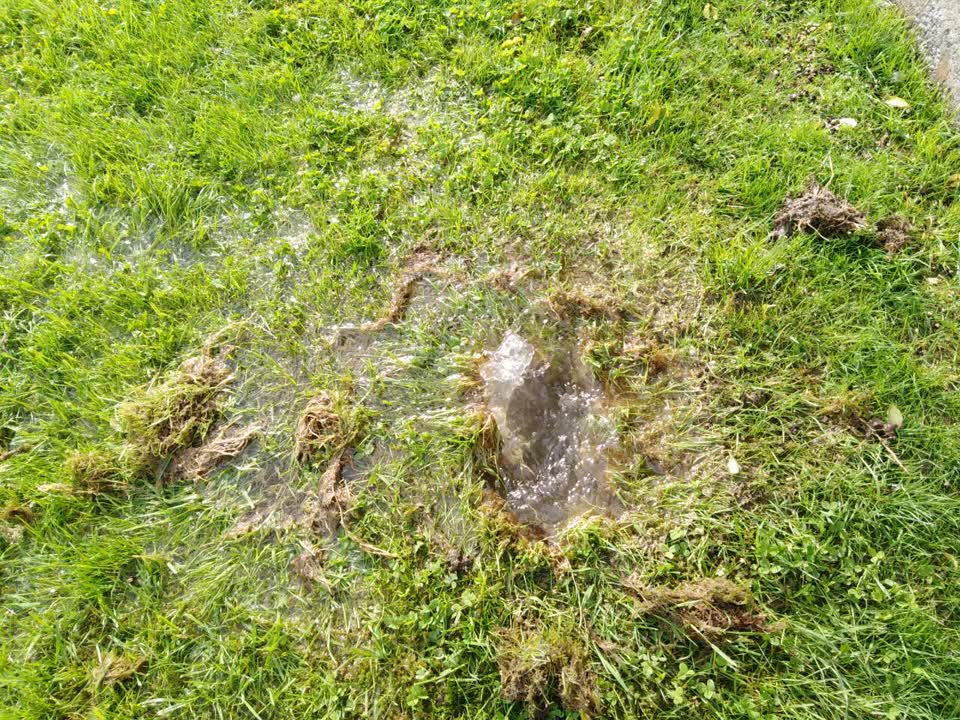 The photograph attached to this water supply report