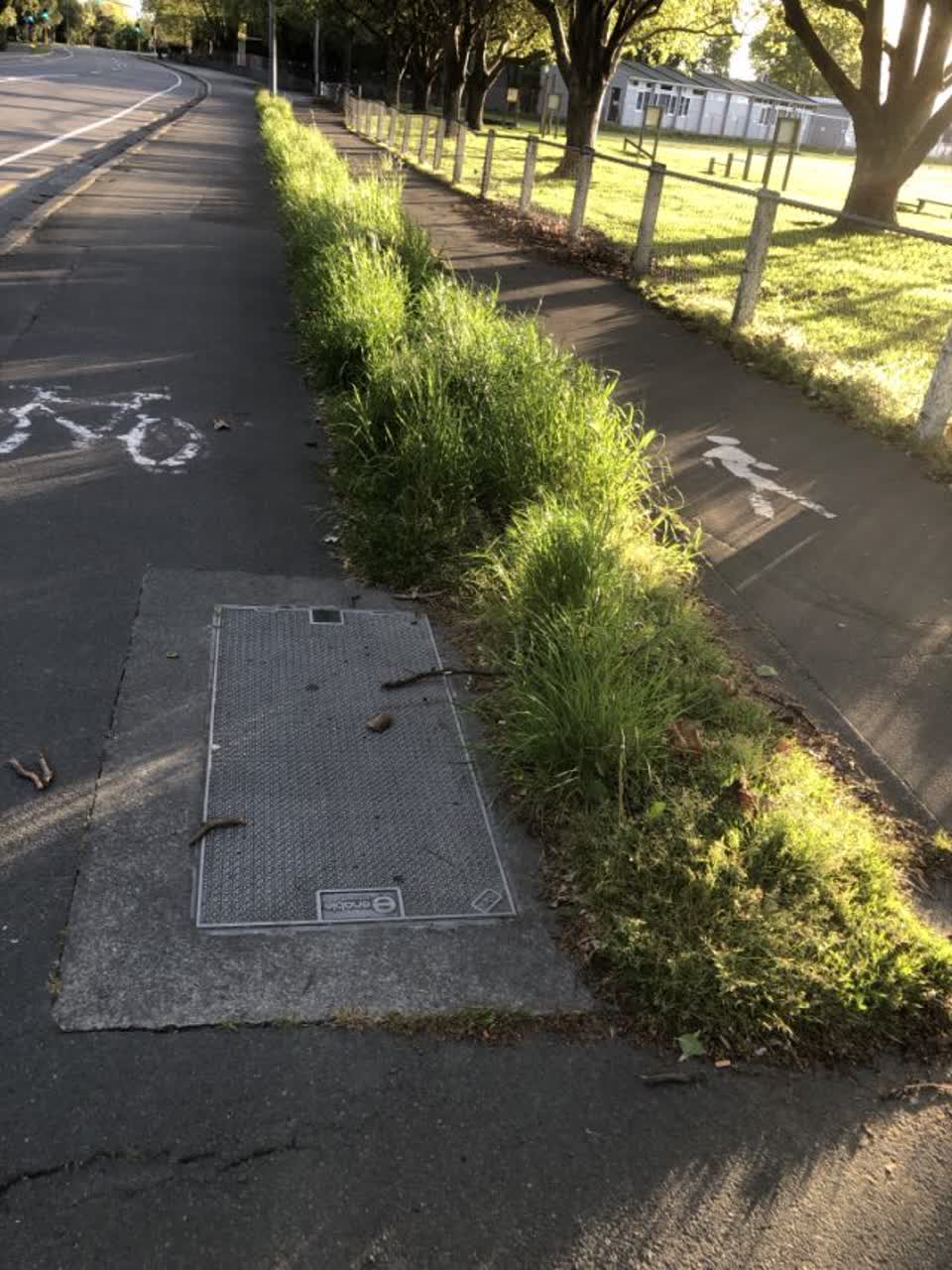 The photograph attached to this parks report