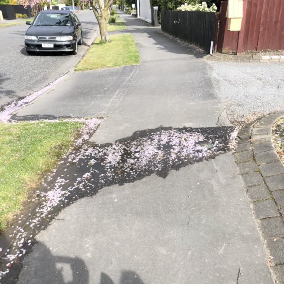 The photograph attached to this water supply report