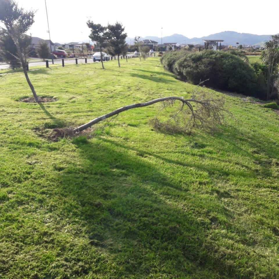 The photograph attached to this parks report