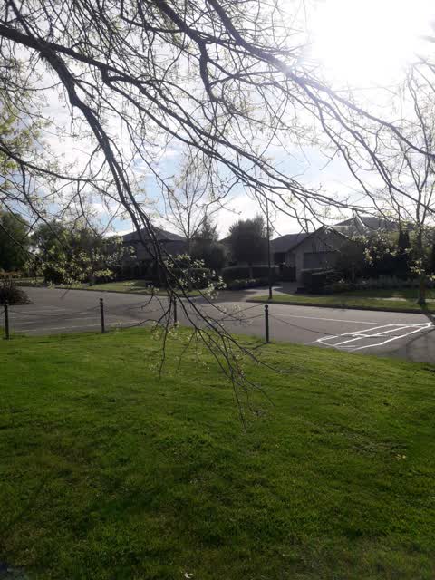 Parks, a report photo