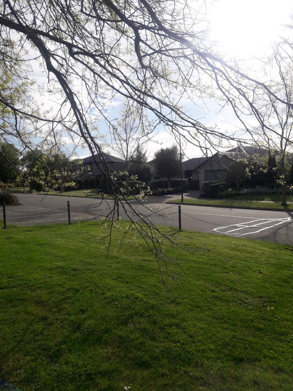 The photograph attached to this parks report
