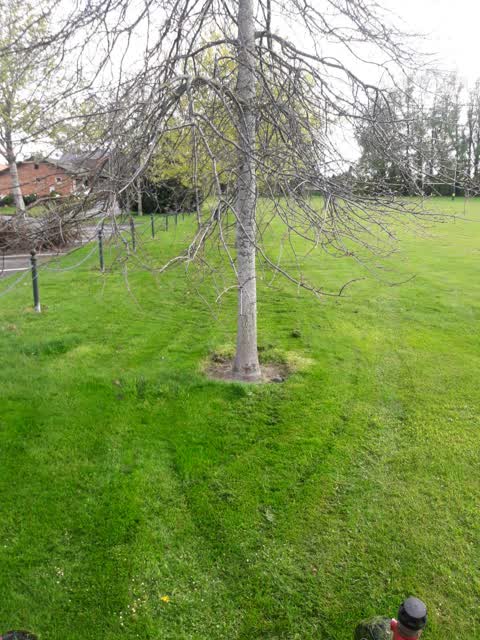 Parks, a report photo