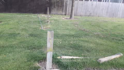 Parks — a report photo