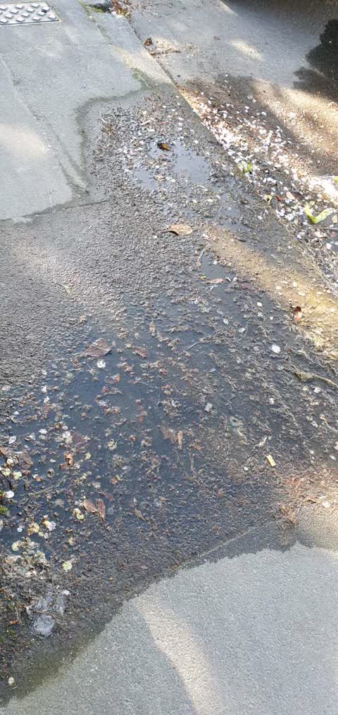 Water Supply, a report photo